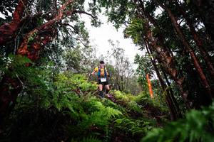 BIB: 
                            <button type="button" onclick="openModal(26202720)" class="btn btn-primary btn-sm float-right btn-popup" data-toggle="modal" data-target=".modal-high-quality">
                        <i class="fas fa-shopping-cart"></i> Add to Cart
                    </button>
                                            <button type="button" onclick="isThisMe(26202720, true)" class="btn btn-success btn-sm float-right btn-popup btn-isme hidden" data-toggle="tooltip" data-placement="bottom" title="นี่คือรูปของคุณใช่ไหม คลิกที่นี่เพื่อเอาเข้าอัลบั้ม">
                        <i class="fas fa-plus"></i> Add to album
                    </button>
                    <button type="button" onclick="isThisMe(26202720, false)" class="btn btn-warning btn-sm float-right btn-popup btn-isnotme hidden">
                        <i class="fas fa-ban"></i> Remove from album
                    </button>